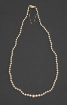 A cultured pearl necklace, of 4-7mm cultured pearls, gold clasp, 54cm l, marked 9ct