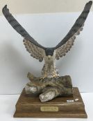 A matt glazed bone china figure of a peregrine falcon with spread wings on a log mount supported on