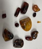 A collection of eleven amber pebbles / s