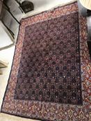 A Seneh rug, the central panel with repe