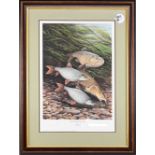 John Searl (20th century) - 'A Brush with the Avon' signed limited edition print, No. 3/50. Framed