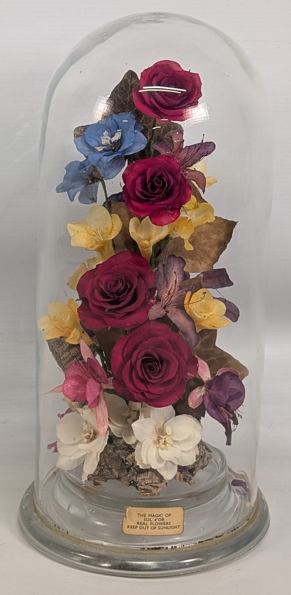 Large glass dome of Dry Preserved Flowers - the magic of Sol d'Or real flowers - #36cm tall