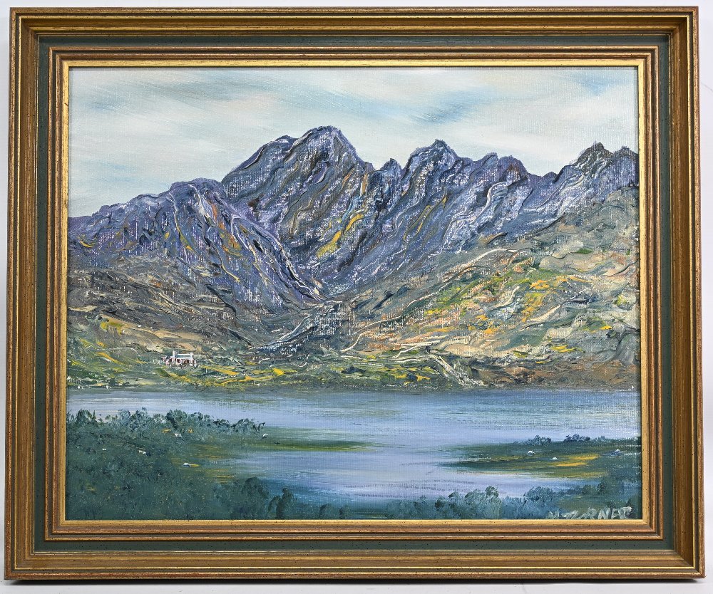 Oli Painting on Board Heavy painted mountain scene by M Turner framed in a gilt frame 59 x 49cm