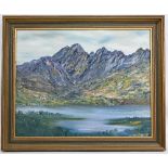Oli Painting on Board Heavy painted mountain scene by M Turner framed in a gilt frame 59 x 49cm
