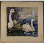 c1970 T Davies Swan watercolour painting, a good-looking watercolour mounted on card - size 76cm x