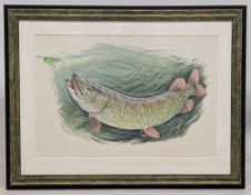 Chris Turnbull (b. 1950) Pike Chasing a Lure, original watercolour fish painting, 2012 signed