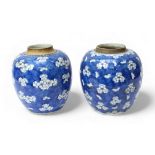 Two Chinese porcelain large 'blue ground' ginger jars, decorated with prunus blossom, 22cm high. (