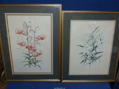 A large framed and mounted artist proof Print depicting Lilium Henry,