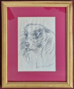 Robert Lenkiewicz (1941-2002), pencil sketch of a spaniel dog, signed lower right, framed and
