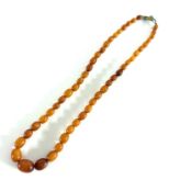 An amber bead necklace, length 48cm, approx 16.7g, together with a Lapis Lazuli style bead necklace,