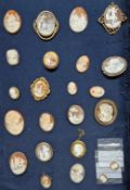 A collection of cameos, some with brooch fitting.