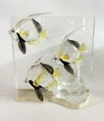 Swarovski Crystal Glass, Wonders Of The Sea - Community, boxed.