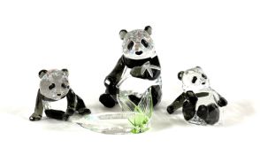 Swarovski Crystal Glass, Endangered Wildlife - Pandas together with Companion Panda Cub with plaque,