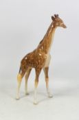 Beswick Large Model of a Giraffe 1631