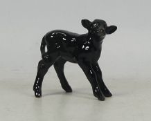 Beswick Aberdeen Angus calf, model 1406A,