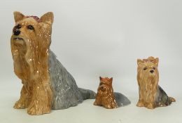 Beswick Dogs to include Gloss toy Yorkshire Terriers, 5027, 1944, 2377, tallest 27cm(3)