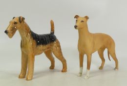 Beswick dogs to include Gloss Airedale Terrier 'Cast Iron' Monarch', Matt finish Grey hound, tallest