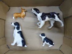 Beswick Springer Spaniel Model No. 3135, together with a small Beswick Corgi, John Beswick seated