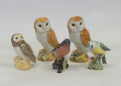 Beswick birds to include two Barn Owls in different colourways, Tawny Owl, Blue Tit 992 and