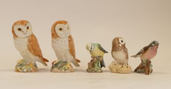 Beswick Birds to include:- two Barn Owls, Tawny Owl, Chaffinch 991, Blue Tit 992 (5)