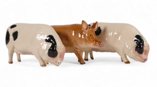 Royal Doulton pig figures: two Gloucester Old Spot and a Tamworth. H:7cm(3)