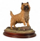 Border Fine Art, Cairn Terrier B0245. (H: 18cm)