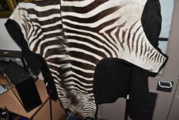 A ZEBRA HIDE RUG, mounted on a black felt backing, approximate length 277cm x width 180cm at