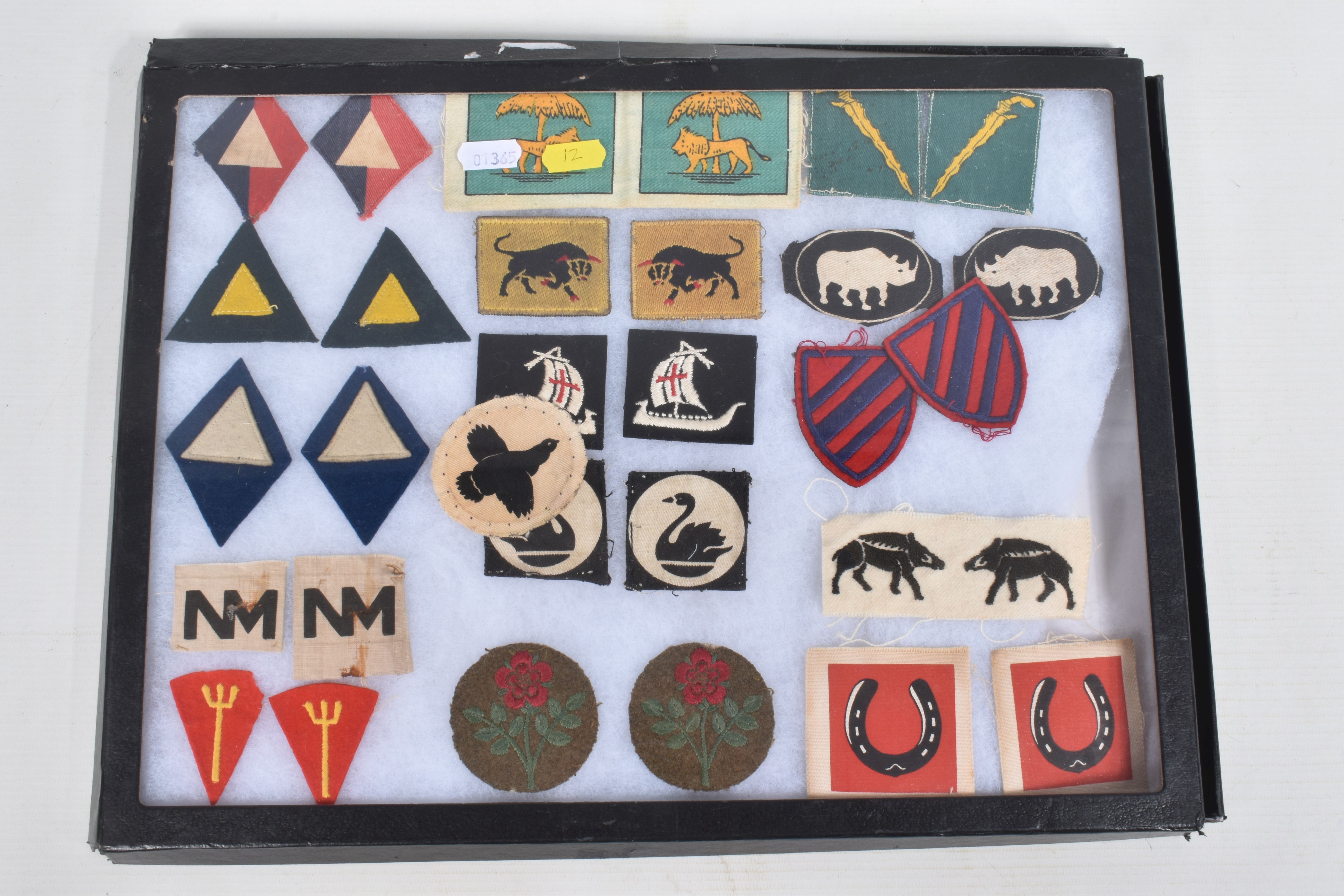 RIKER DISPLAY CASE, containing rare Formation patches from Units and Regiments in WW2 inc 51st