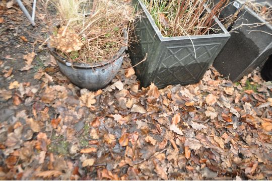 A COLLECTION OF GREY AND BLACK GLAZED AND PLASTIC GARDEN PLANTERS (7) - Image 2 of 4