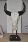 A BOVINE (POSSIBLY BISON) SKULL mounted on a metal stand on a wood base, height 91cm x width 50cm (