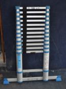 A MacALLISTER TELESCOPIC EXTENSION LADDER 380cm maximum height