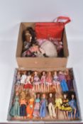 A COLLECTION OF PALITOY PIPPA AND FRIENDS DOLLS, OUTFITS AND ACCESSORIES, dolls include Pippa,