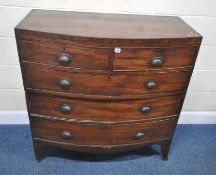 A GEORGIAN MAHOGANY BOW FRONT CHEST OF TWO SHORT OVER THREE LONG DRAWERS, width 105cm x depth 53cm x