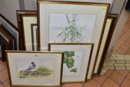 WARWICK HIGGS (BRITISH B.1956) Three gouache studies of garden birds, comprising 'Heads or Tails -