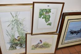 WARWICK HIGGS (BRITISH B.1956) Three gouache studies of garden birds, comprising 'Heads or Tails -