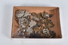 A NICE SELECTION OF MILITARY CAP BADGES AND SHOULDER TITLES, these include Norfolk, KSOB, The