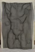 DAVID BEGBIE (SCOTLAND 1955) MALE TORSO, an unsigned wire mesh sculpture of a nude male torso and
