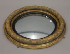 An ornate 19th century gilt-framed convex wall glass. 66 cm diameter.