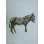 BAKER, CHARMING (born 1964) British (AR), "Donkey",