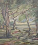 EXPRESSIONIST SCHOOL, 'Forest', oil on canvas, initialled CB, framed. 61 x 73 cm.