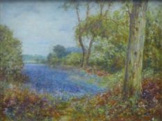GEORGE RANSOM RA (1843-1935) British, 'Bluebell Woods', oil on board,