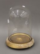 A Victorian glass dome on wooden plinth base. 27 cm high.