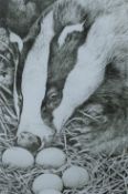 GREENWOOD, T J (born 1947) British (AR), Badger and Eggs, etching, signed and numbered 82/100,