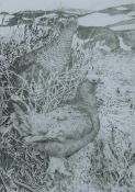 GREENWOOD, T J (born 1947) British (AR), Red Grouse in Spring, etching, signed and numbered 36/150,