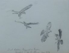 HARRISON, JOHN CYRIL (born 1898-1985) British (AR), Duel Between Buzzards and Ravens, pencil,