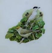 BURNS, HILARY (born 1946) British (AR), Black Caps on Blackberries, gouache, signed, unframed.