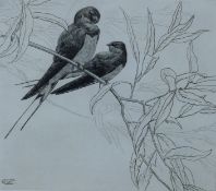 COLLINS, GEORGE EDWARD (1880-1968) British (AR), Swallows, etching, signed and numbered 70/75,