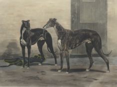 After HARRINGTON BIRD,