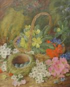 VINCENT CLARE, 'Still Life with Birds' Eggs', oil on canvas, signed, framed. Image 24 x 29.5 cm.