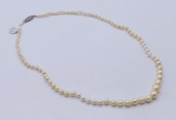 A single strand cultured pearl necklace with silver clasp. 48 cm long.